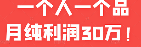 某公众号付费文章:一个人一个品月纯利润30万的蓝海电商经典案例!