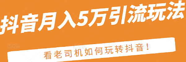 某公众号付费文章:抖音月入5万引流玩法,看看老司机如何玩转抖音!