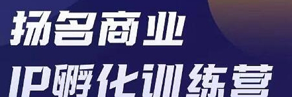 商业IP孵化训练营,从商业到内容到转化一站式学 价值5980元(无水印)