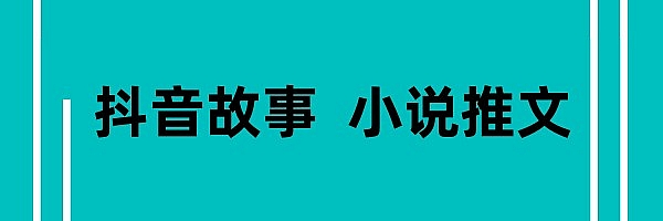 小说推文新玩法,某音故事推书项目。