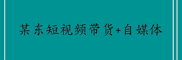 某东短视频带货+自媒体