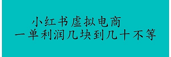 小红书虚拟电商,一单利润几块到几十不等